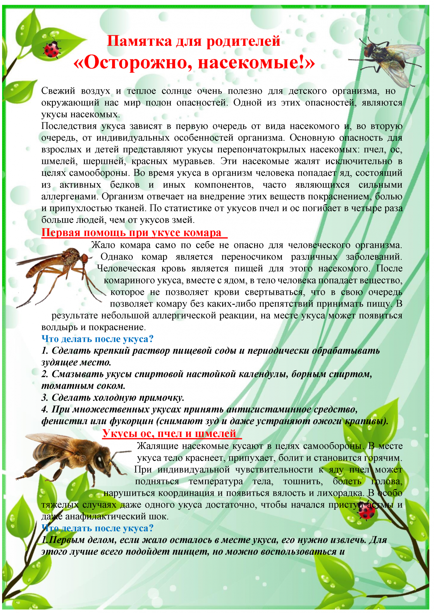 Первая помощь при укусах насекомых для детей. Консультация для родителей насекомые. Консультация для родителей осторожно насекомые. Консультация для родителей насекомые летом. Информация для родителей укусы насекомых.